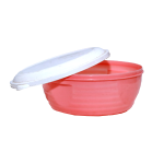 Master lunch box ( plastic )