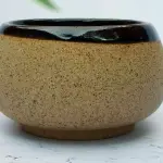 Paththaya classic L W22