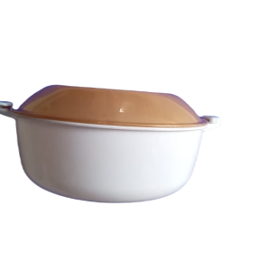 Hot & Fresh Food Container ( plastic )