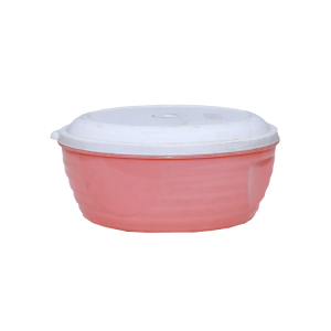 Master lunch box ( plastic )